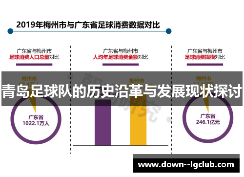 青岛足球队的历史沿革与发展现状探讨