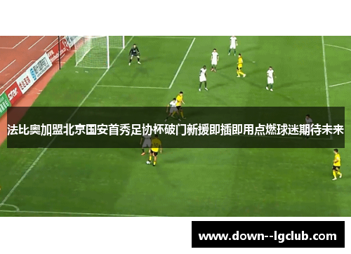法比奥加盟北京国安首秀足协杯破门新援即插即用点燃球迷期待未来